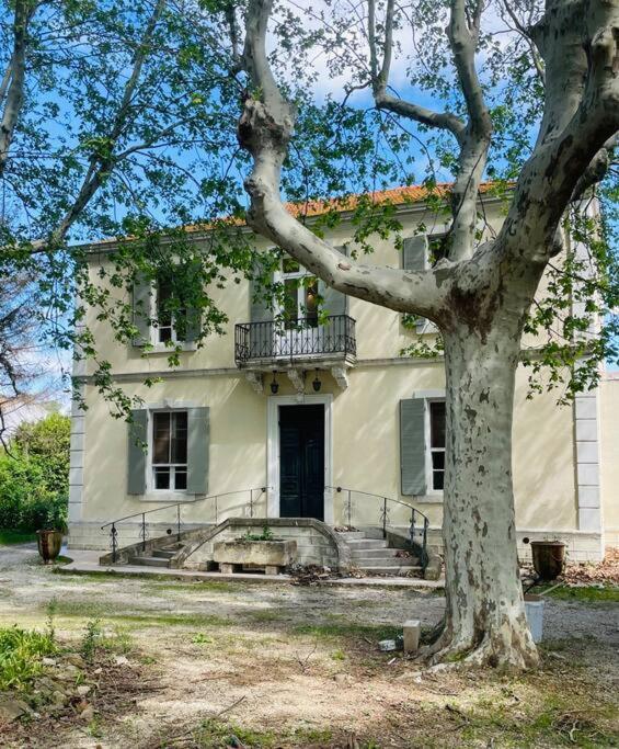 Villa Entre Arles Et Les Alpilles Avec Piscine Raphèle 외부 사진